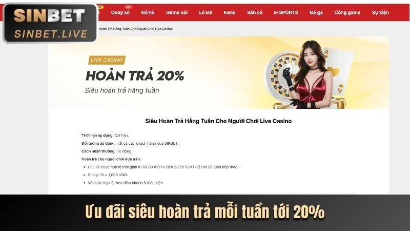 Hoàn trả thể thao và casino f88 thể thao